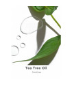 B. Well Tea Tree and Coconut Clean Dezodorants 52g