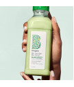 Be Gentle, Be Kind Kale + Apple Replenishing Superfood Kondicionieris 369ml