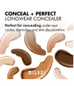 Konsīleris Conceal + Perfect